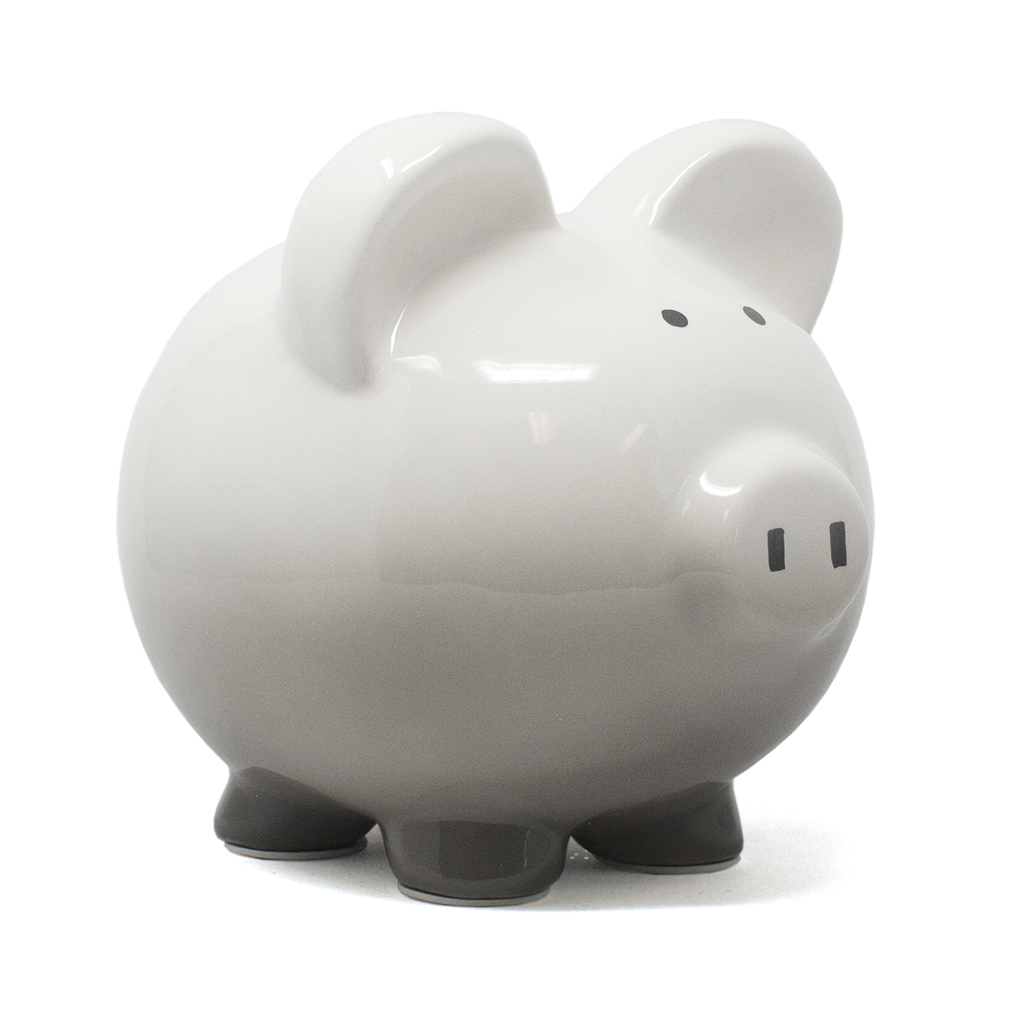 Ceramic Piggy Bank