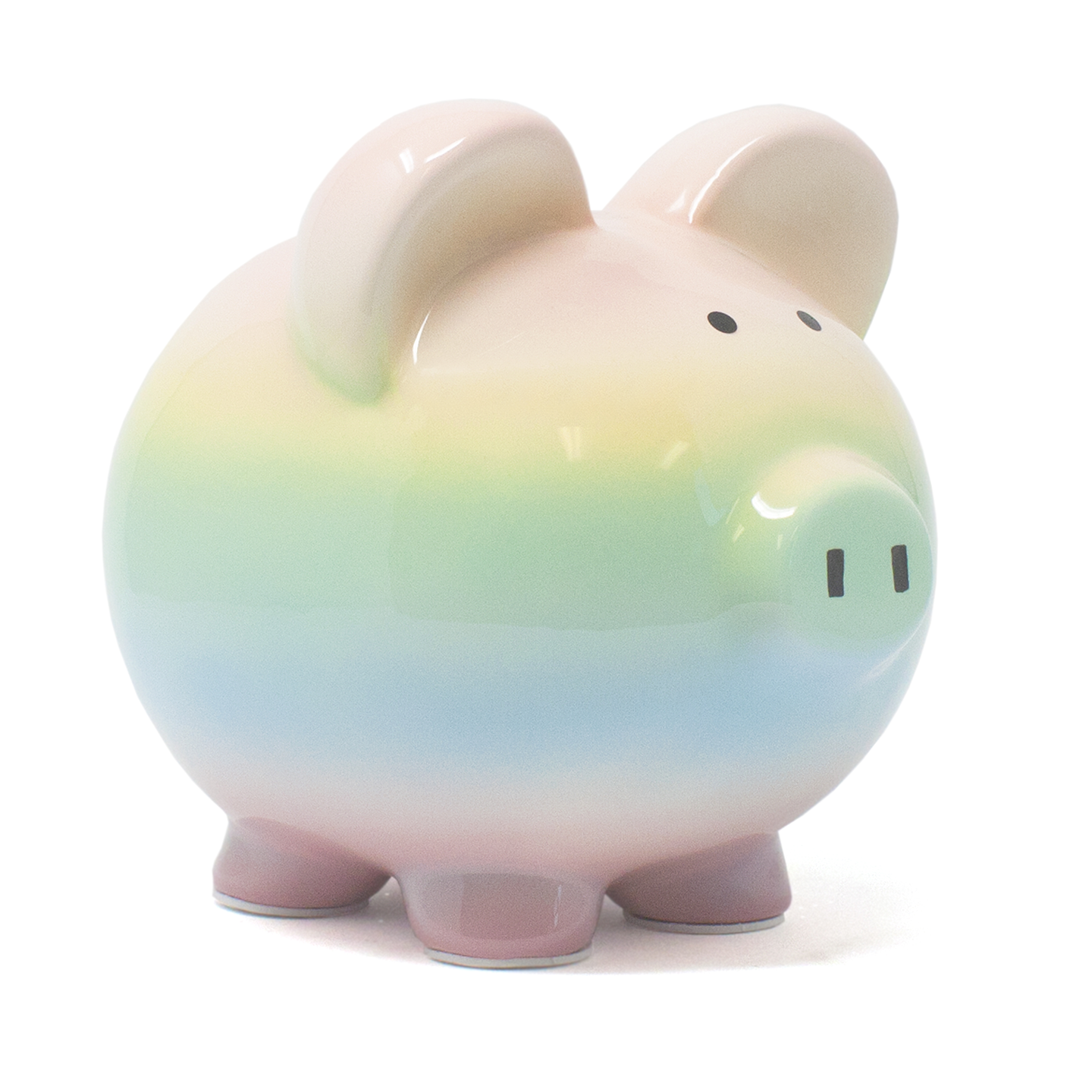 Ceramic Piggy Bank